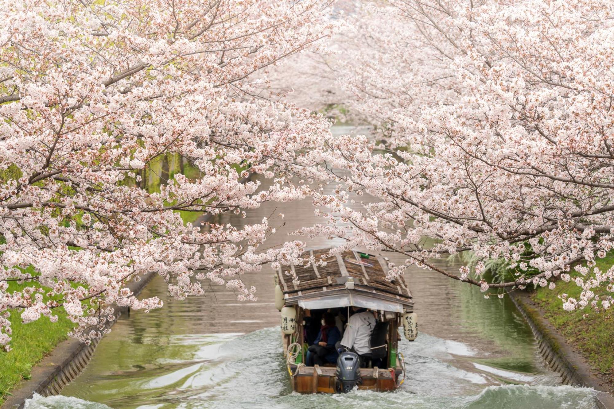 Mimaru Kyoto Station Otel Dış mekan fotoğraf